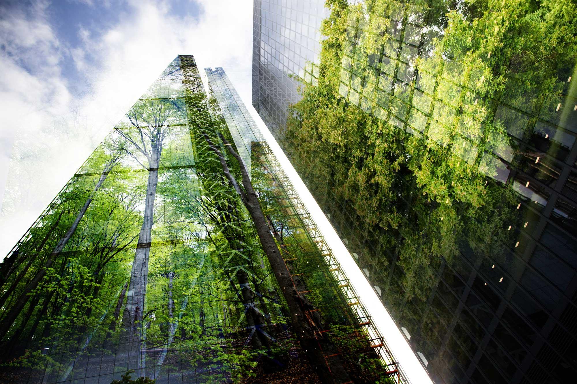 Sustainable Real Estate: Investing in Green Buildings