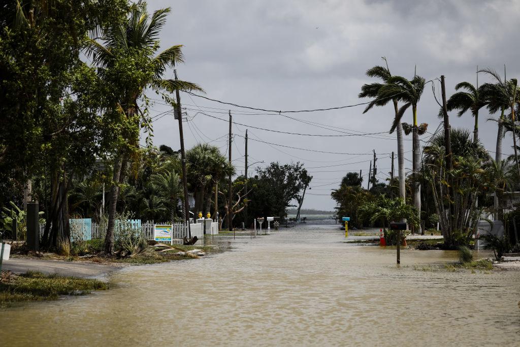 The Impact of Natural Disasters on Stock Prices