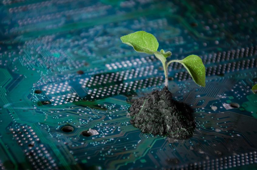 Sustainable Tech: Investing in Green Technology