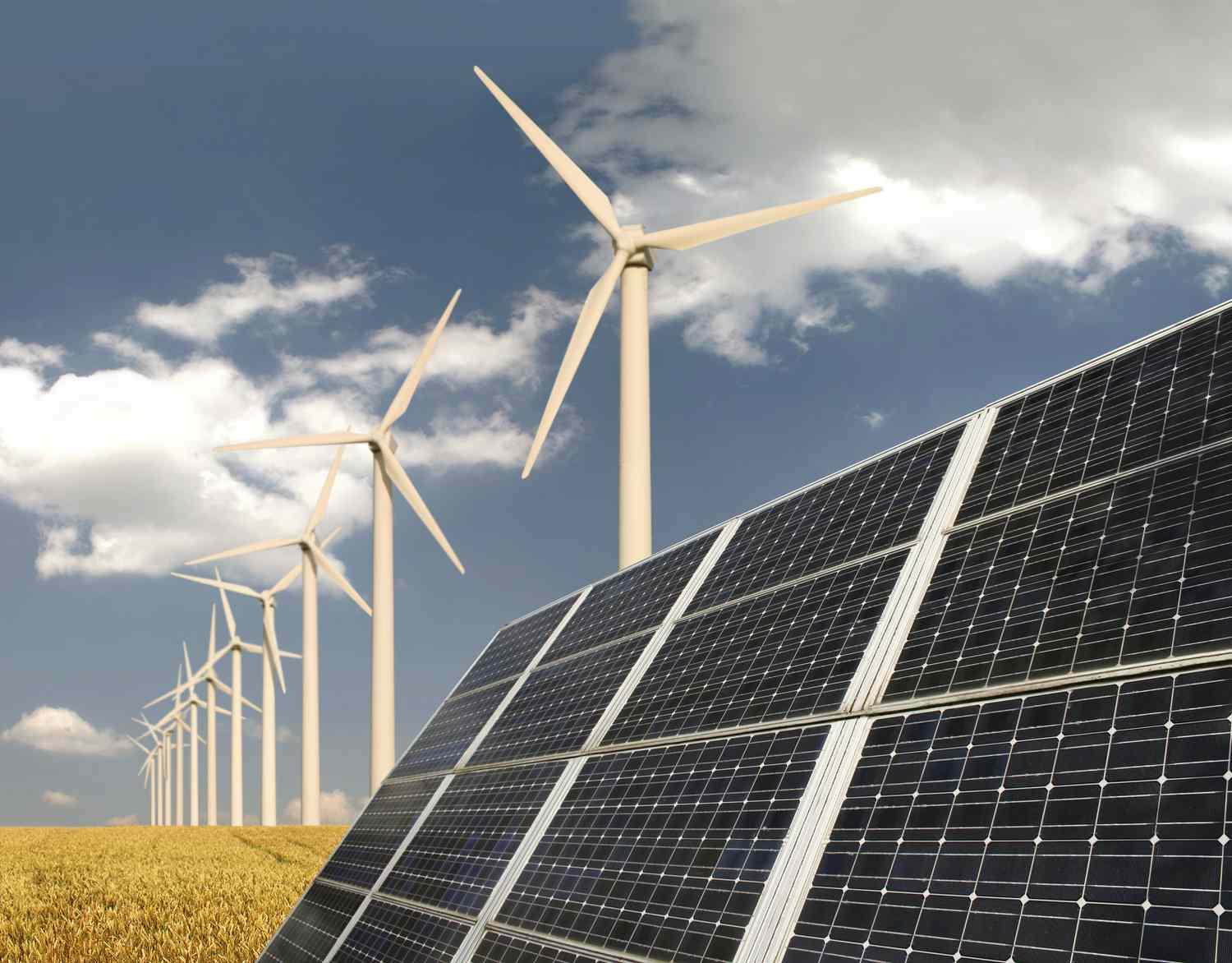 Investing in Renewable Energy Commodities: A Guide for Investors