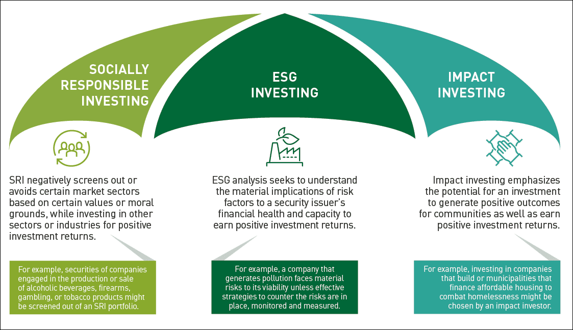 Sustainable Finance: Corporate Responsibility and Investor Interest