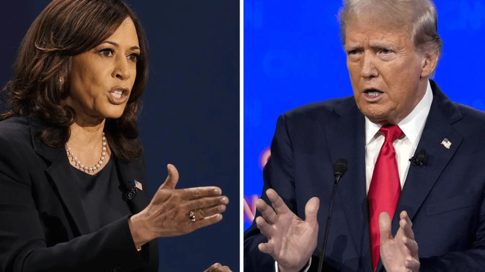 Economic Policy and Regulation: A Comprehensive Review of Kamala Harris and Donald Trump's Plans