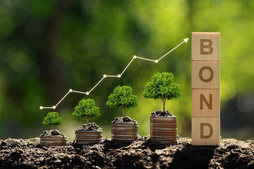 Sustainable Fixed-Income Investing: Green Bonds and Beyond